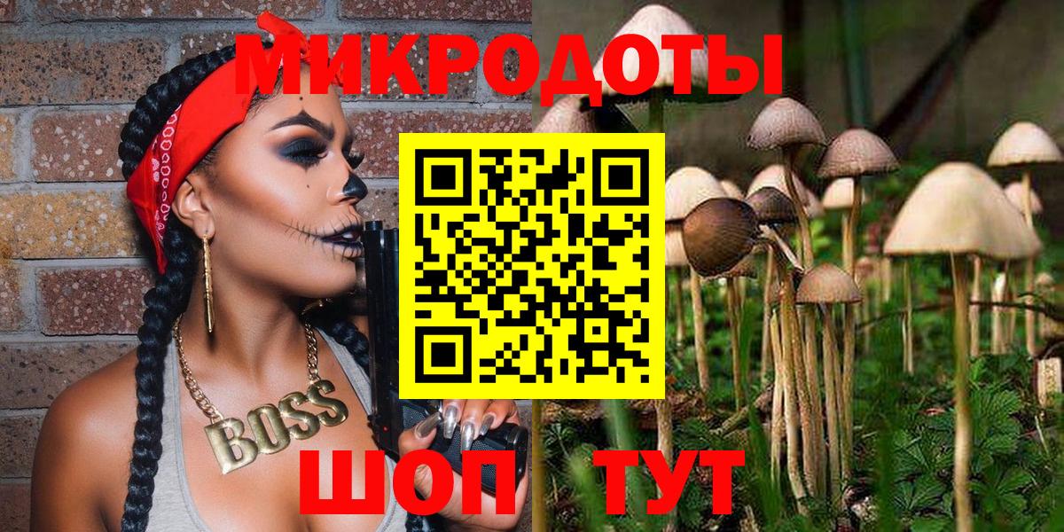 Псилоцибиновые грибы ЛСД  Вход с VPN  Псилоцибиновые грибы Psilocybe  Новокубанск 